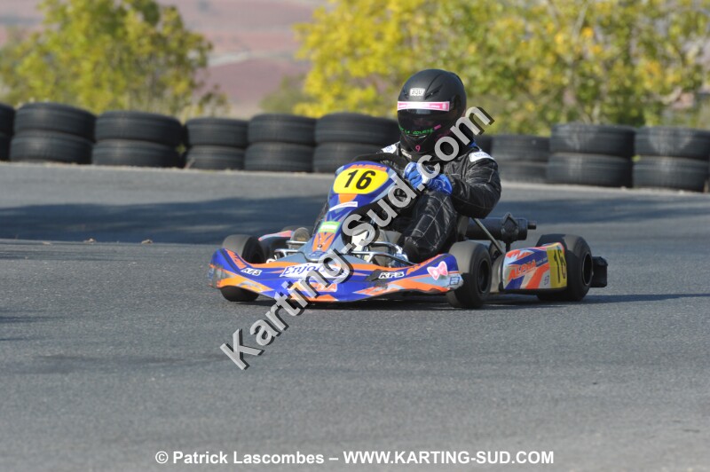 DSC_6397 (2).JPG